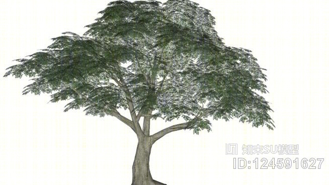 橡树SU模型下载【ID:124591627】