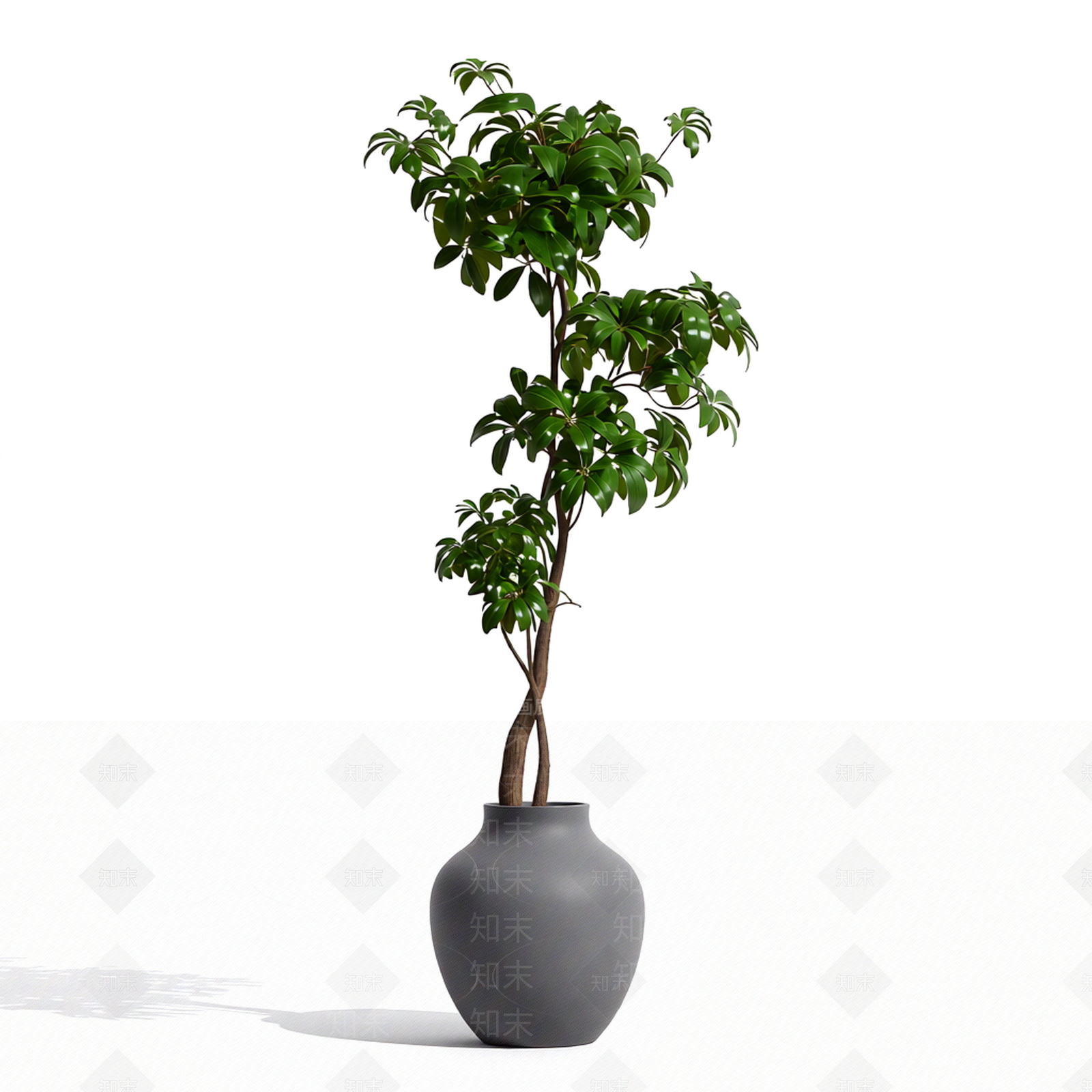 带盆绿植模型3D模型下载【ID:1206194705】
