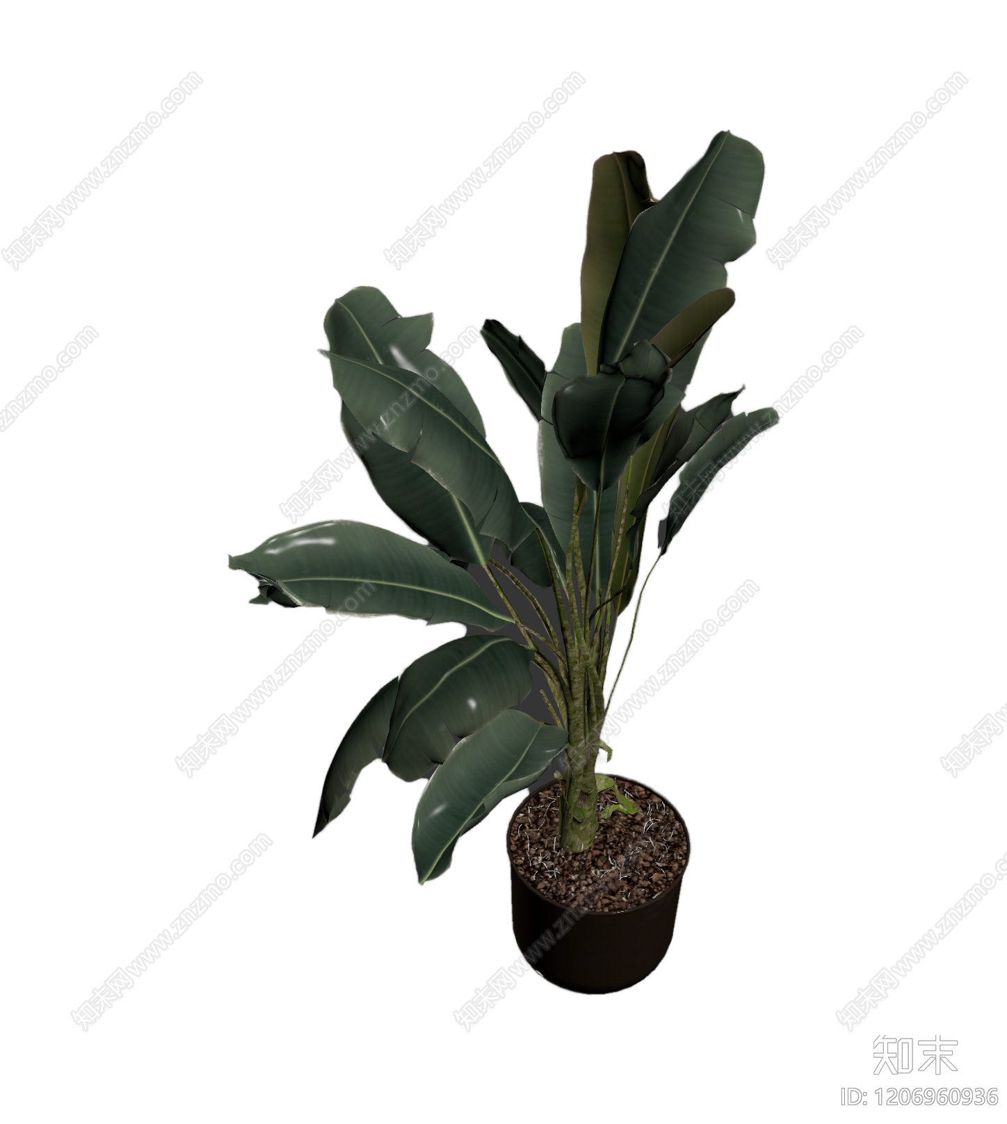 盆栽植物装饰3D模型下载【ID:1206960936】