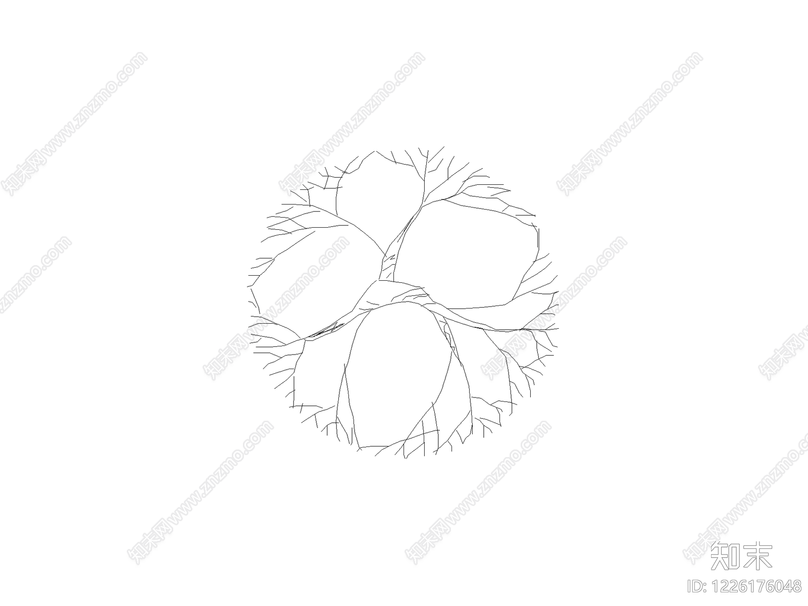 乔木种植CAD图纸