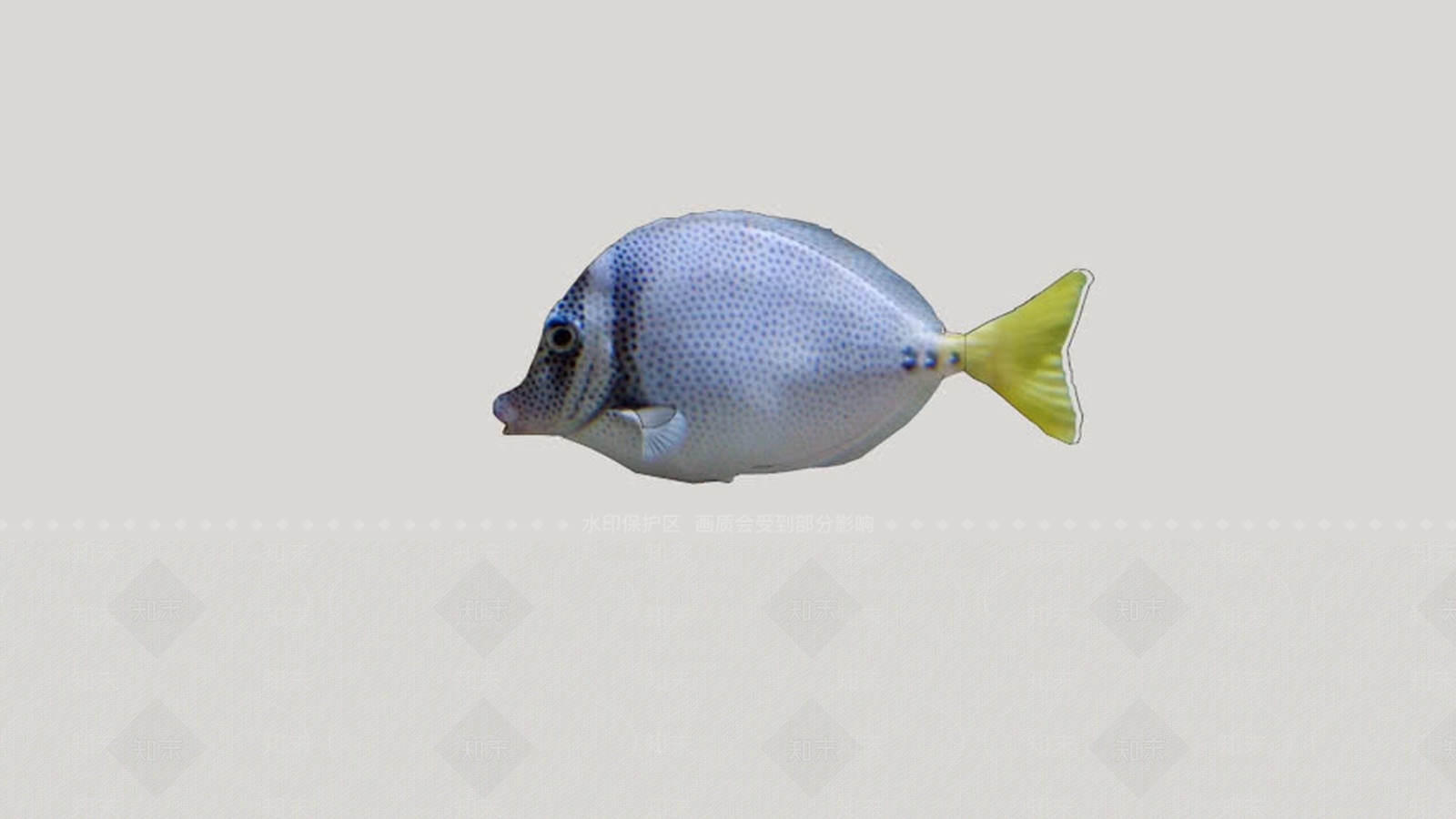 鱼SU模型下载【ID:1161996596】