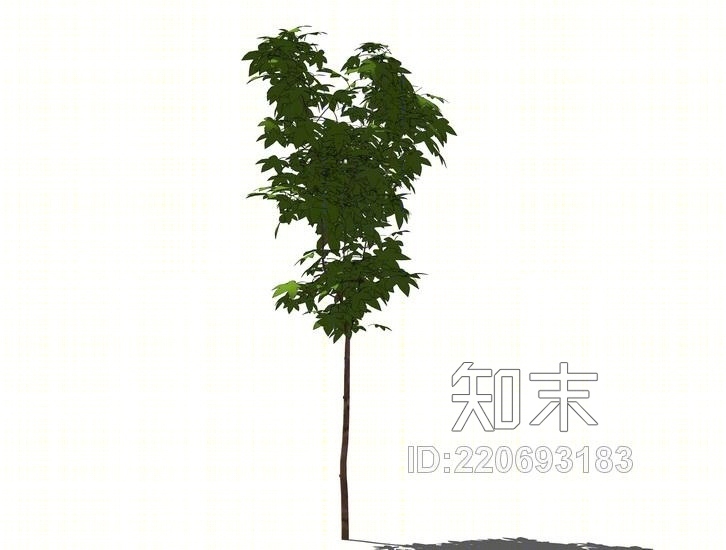 3D植物树SU模型下载【ID:220693183】