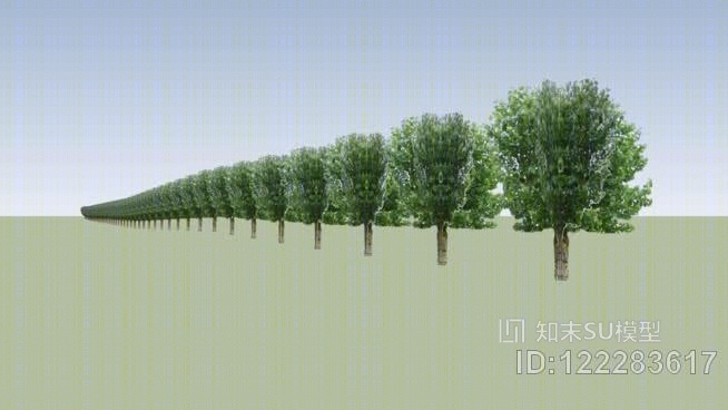 树木线SU模型下载【ID:122283617】