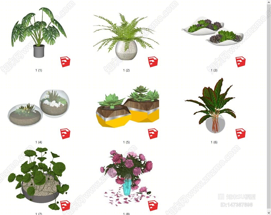 现代盆栽配景植物SU模型下载【ID:147387898】