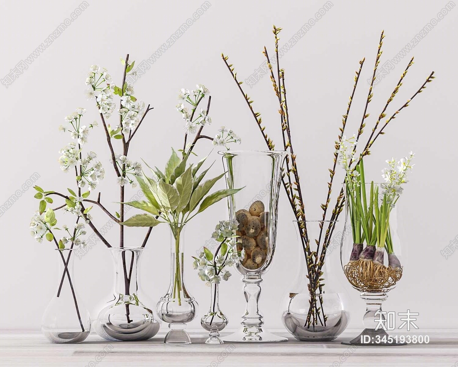 现代水养植物3D模型下载【ID:345193800】