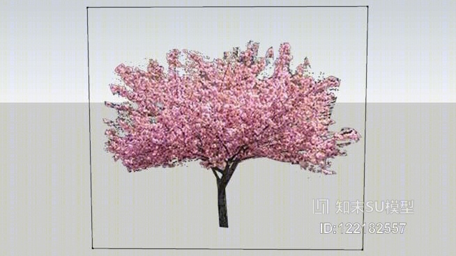 樱花SU模型下载【ID:122182557】