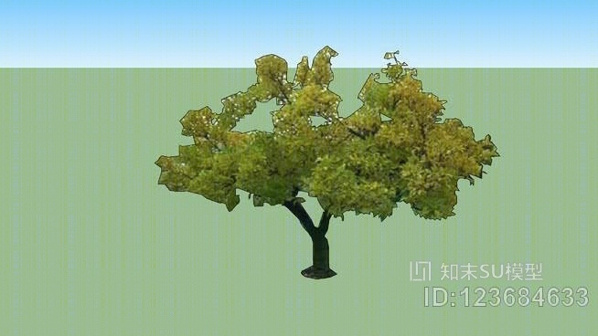 树2D（面向我）SU模型下载【ID:123684633】