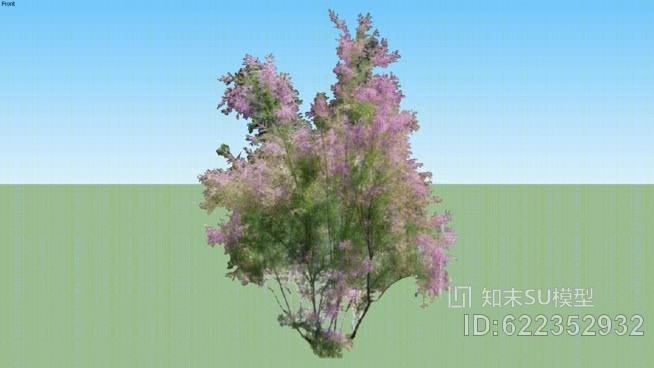 柽柳是级联的粉红SU模型下载【ID:622352932】