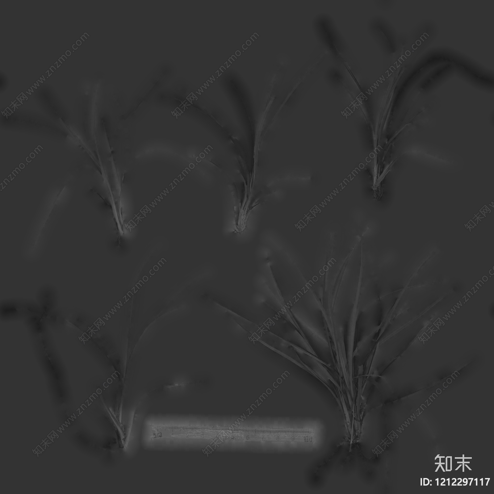 干枯植物纹理贴图下载【ID:1212297117】