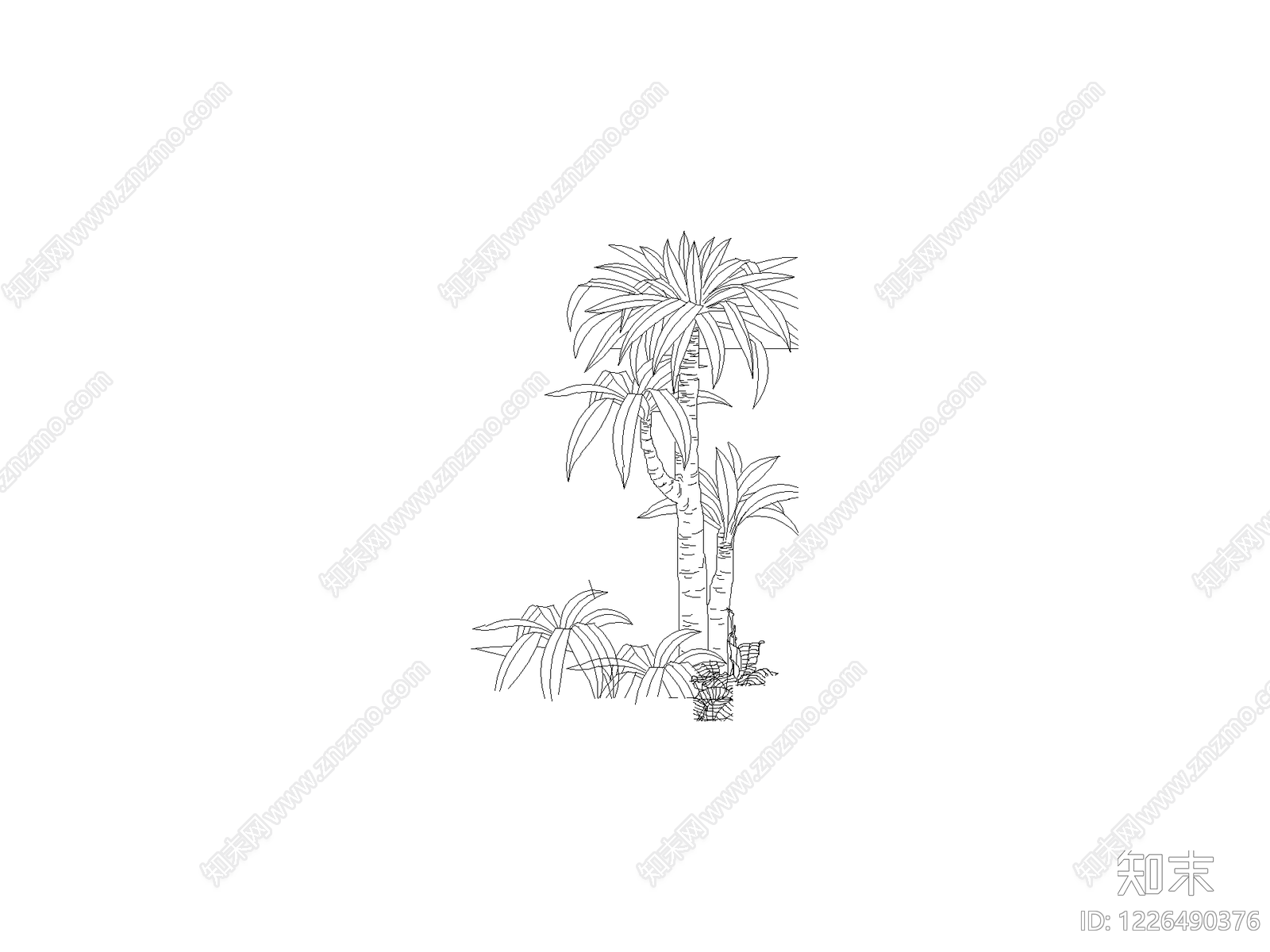 乔木种植cad施工图下载【ID:1226490376】