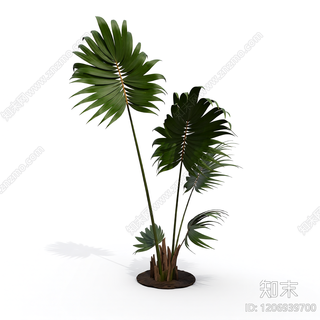 盆栽棕榈植物3D模型下载【ID:1206939700】