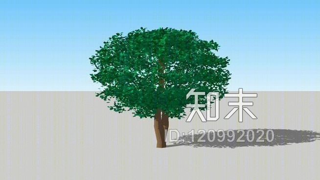 树SU模型下载【ID:120992020】