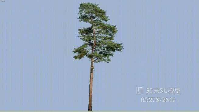 树SU模型下载【ID:27672610】