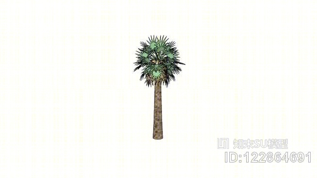 热带扇棕榈树高多边形SU模型下载【ID:122864691】