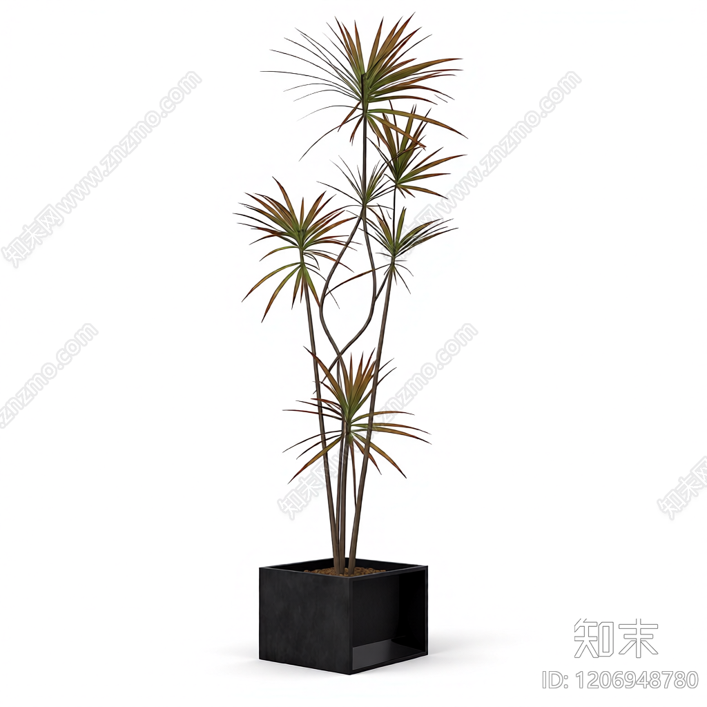 盆栽植物装饰3D模型下载【ID:1206948780】