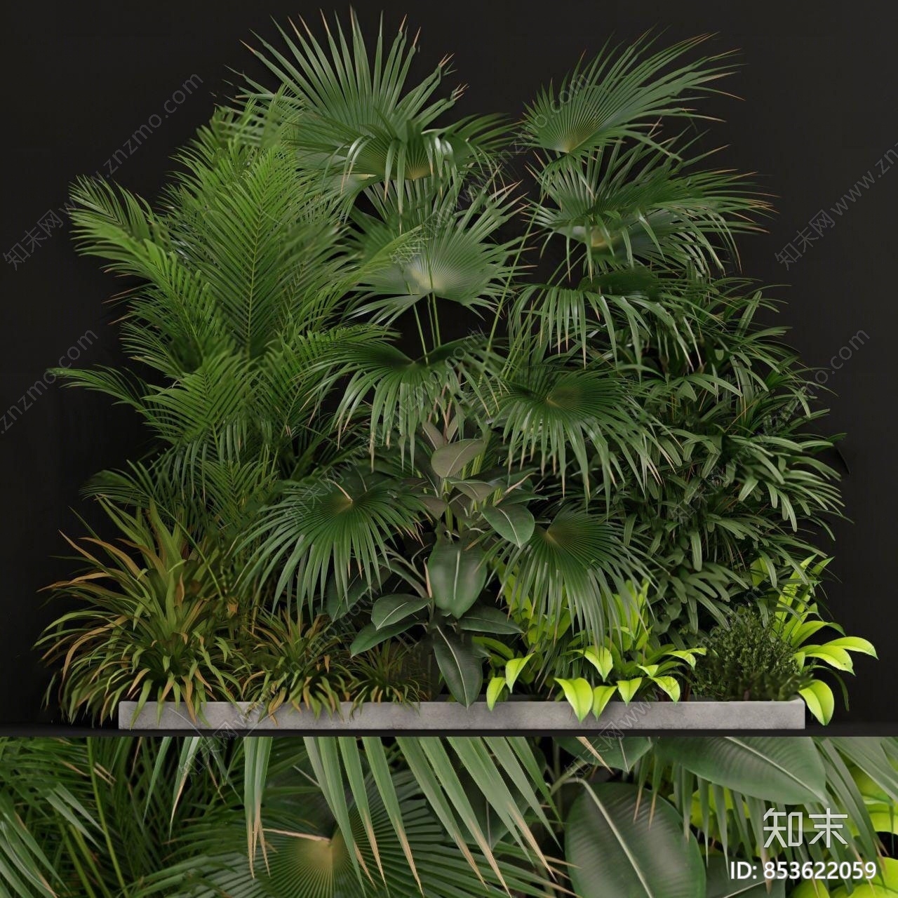 现代植物堆3D模型下载【ID:853622059】