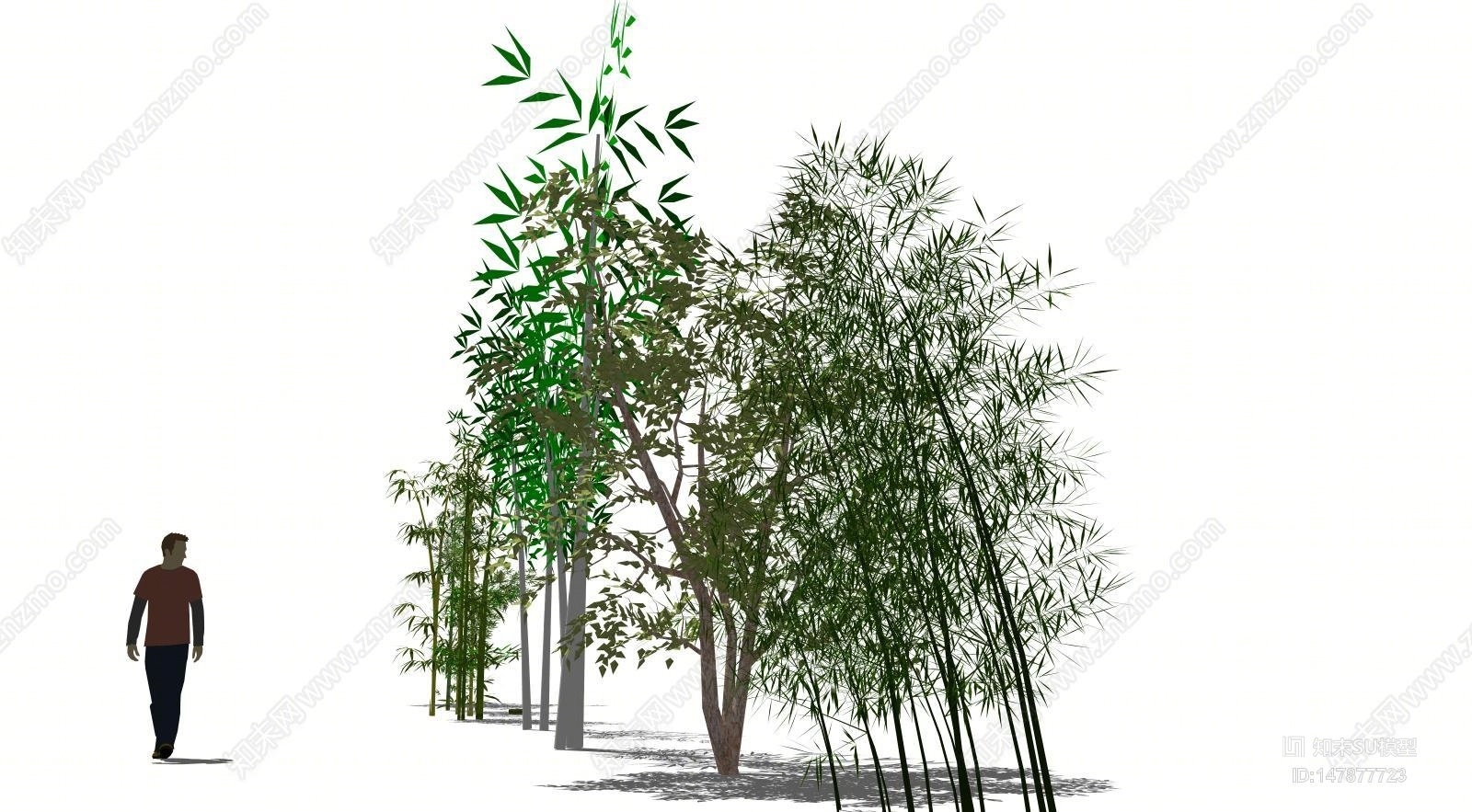 新中式竹文化植物竹子SU模型下载【ID:147877723】