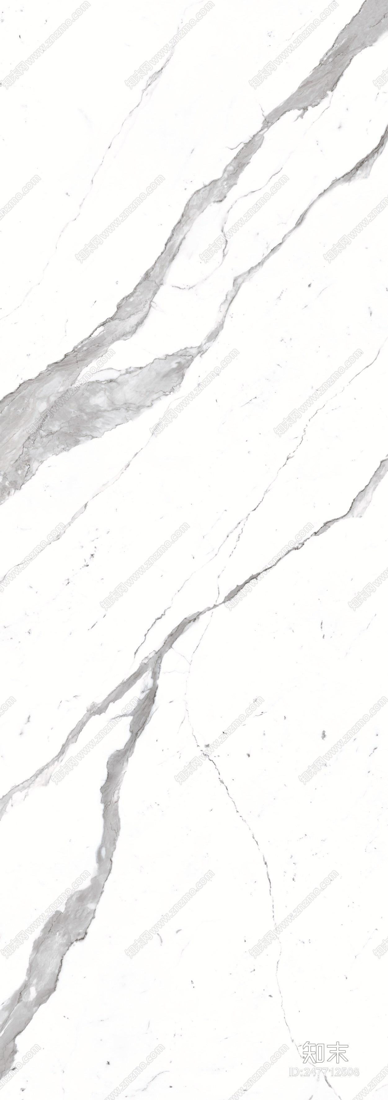 子非鱼贴图下载【ID:247712508】