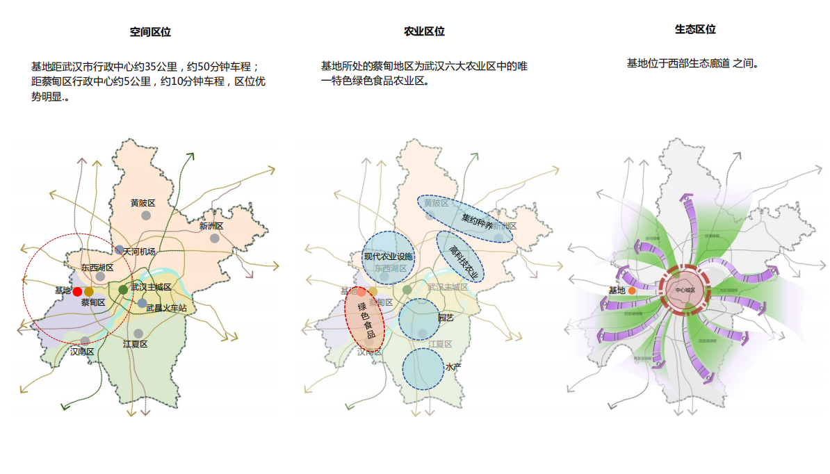 [湖北]蔡甸上独山村概念规划与设计文本cad施工图下载【ID:151724116】