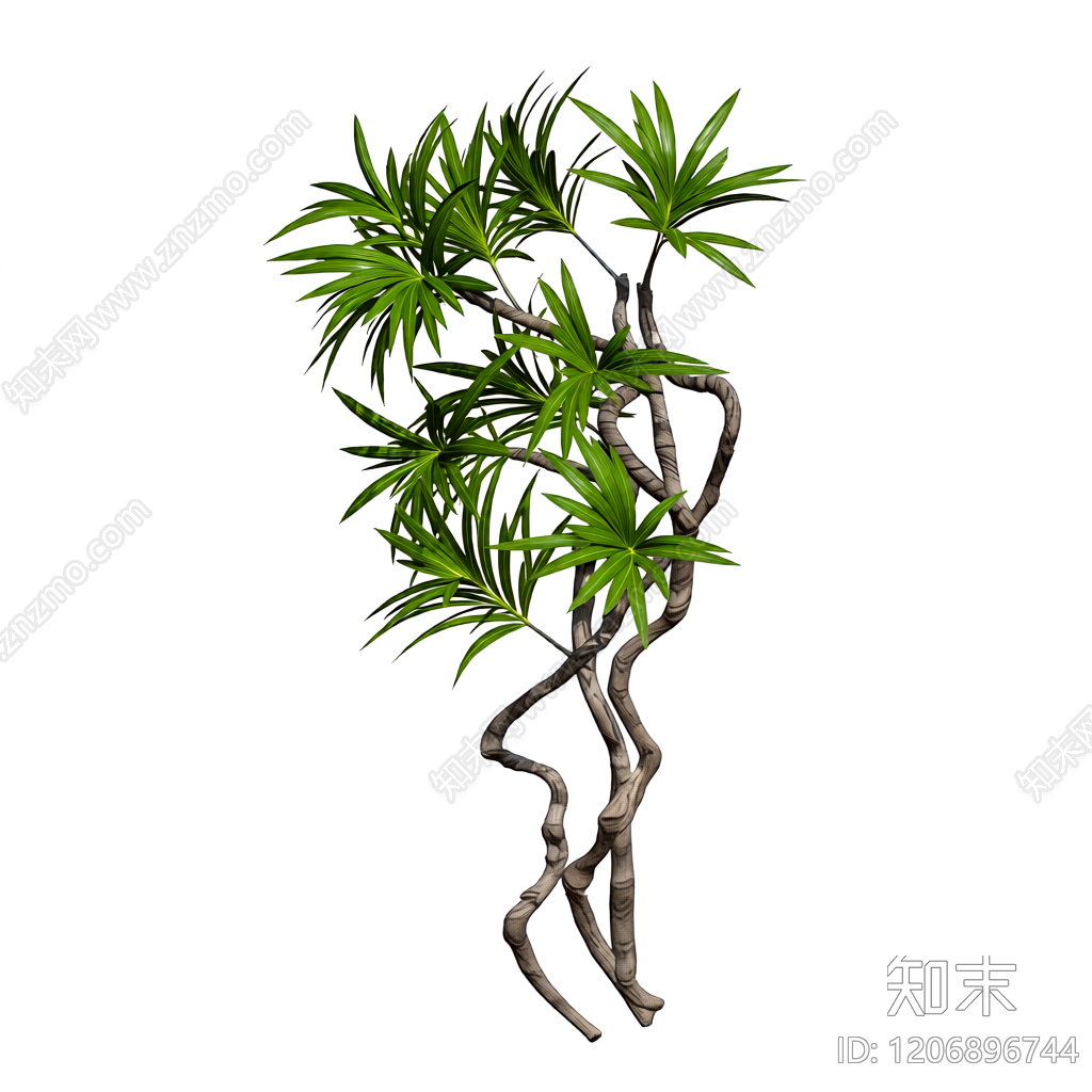扭曲枝叶装饰植物3D模型下载【ID:1206896744】