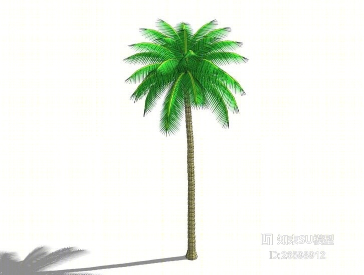 椰子树SU模型下载【ID:26598912】