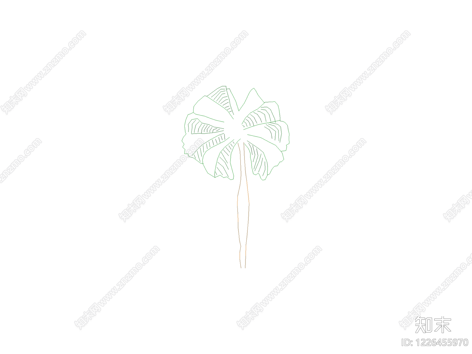 乔木种植CAD图纸