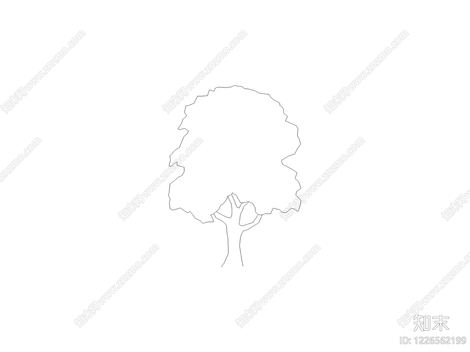 现代乔木种植CAD图纸