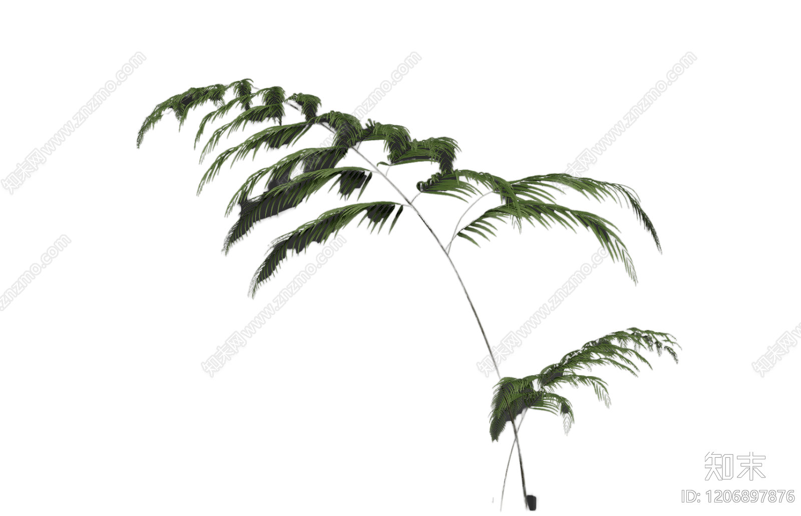 盆栽蕨类植物3D模型下载【ID:1206897876】