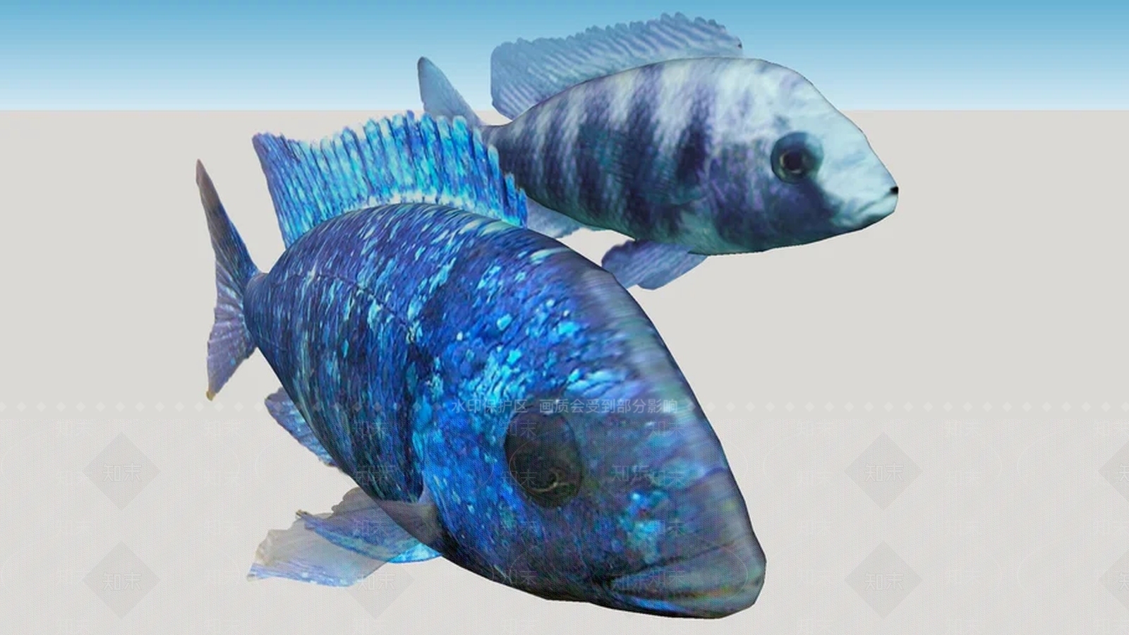 马拉维湖非洲环礁SU模型下载【ID:1162056445】