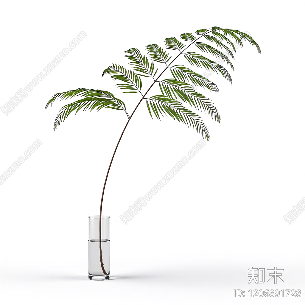 盆栽蕨类植物3D模型下载【ID:1206891728】