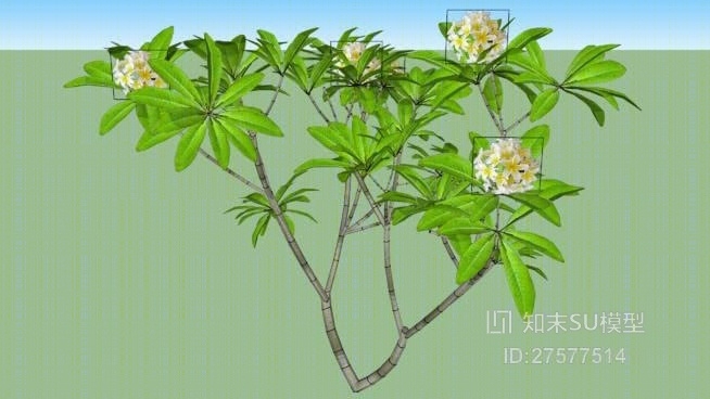 花SU模型下载【ID:119283573】