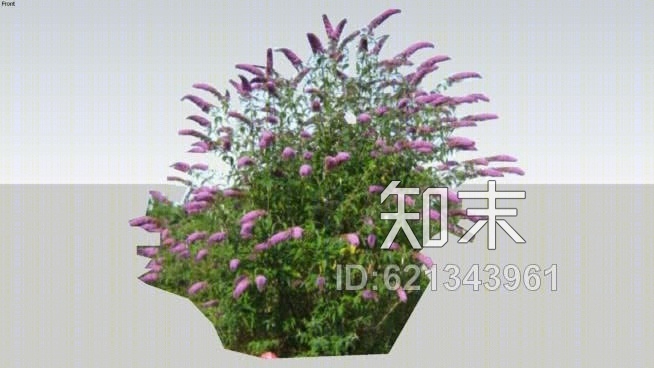 蝴蝶丛林SU模型下载【ID:621343961】