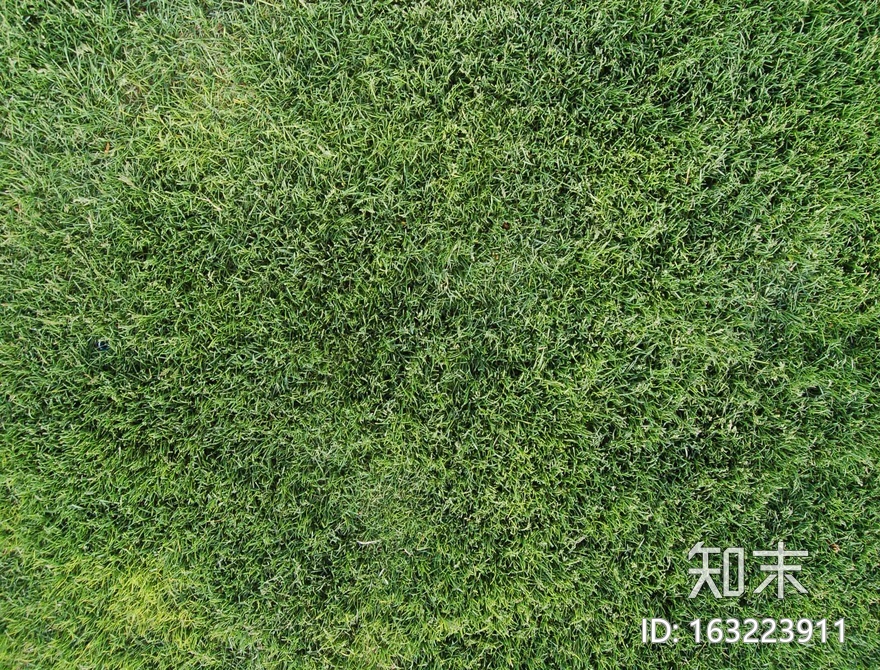 地面-草皮-0022.jpg贴图下载【ID:163223911】
