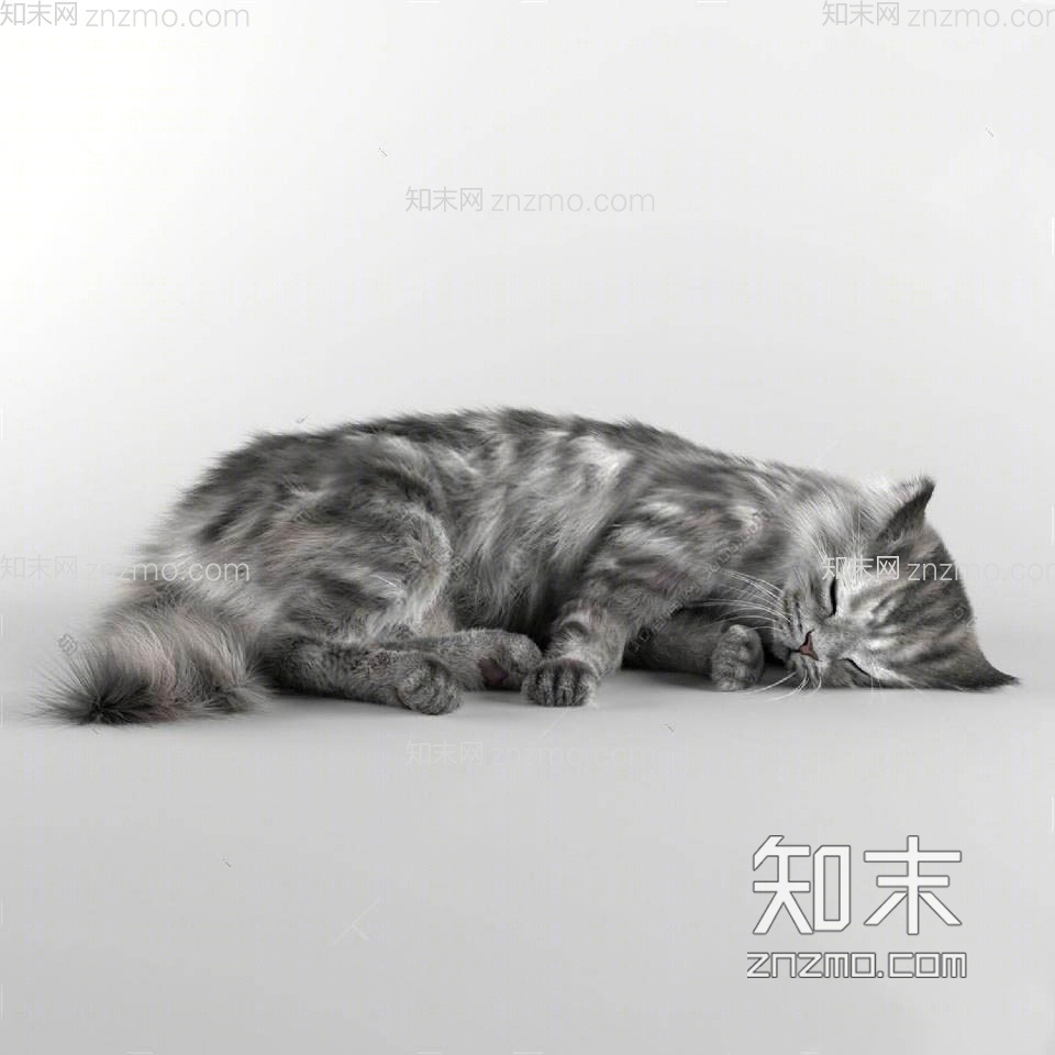 猫3D模型下载【ID:65363708】