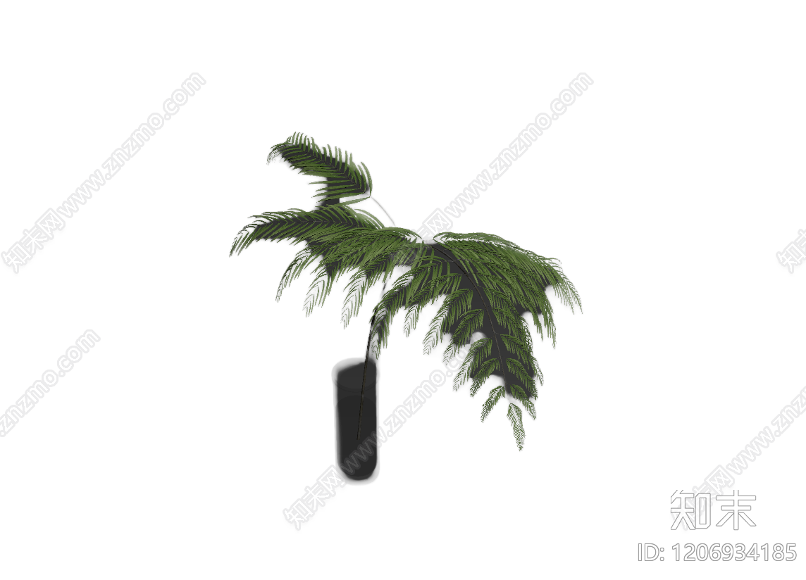 盆栽蕨类植物3D模型下载【ID:1206934185】