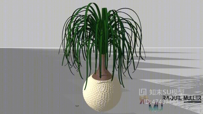 盆栽SU模型下载【ID:117981833】