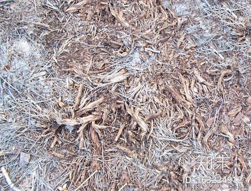 地面-草皮-0010.jpg贴图下载【ID:163224912】