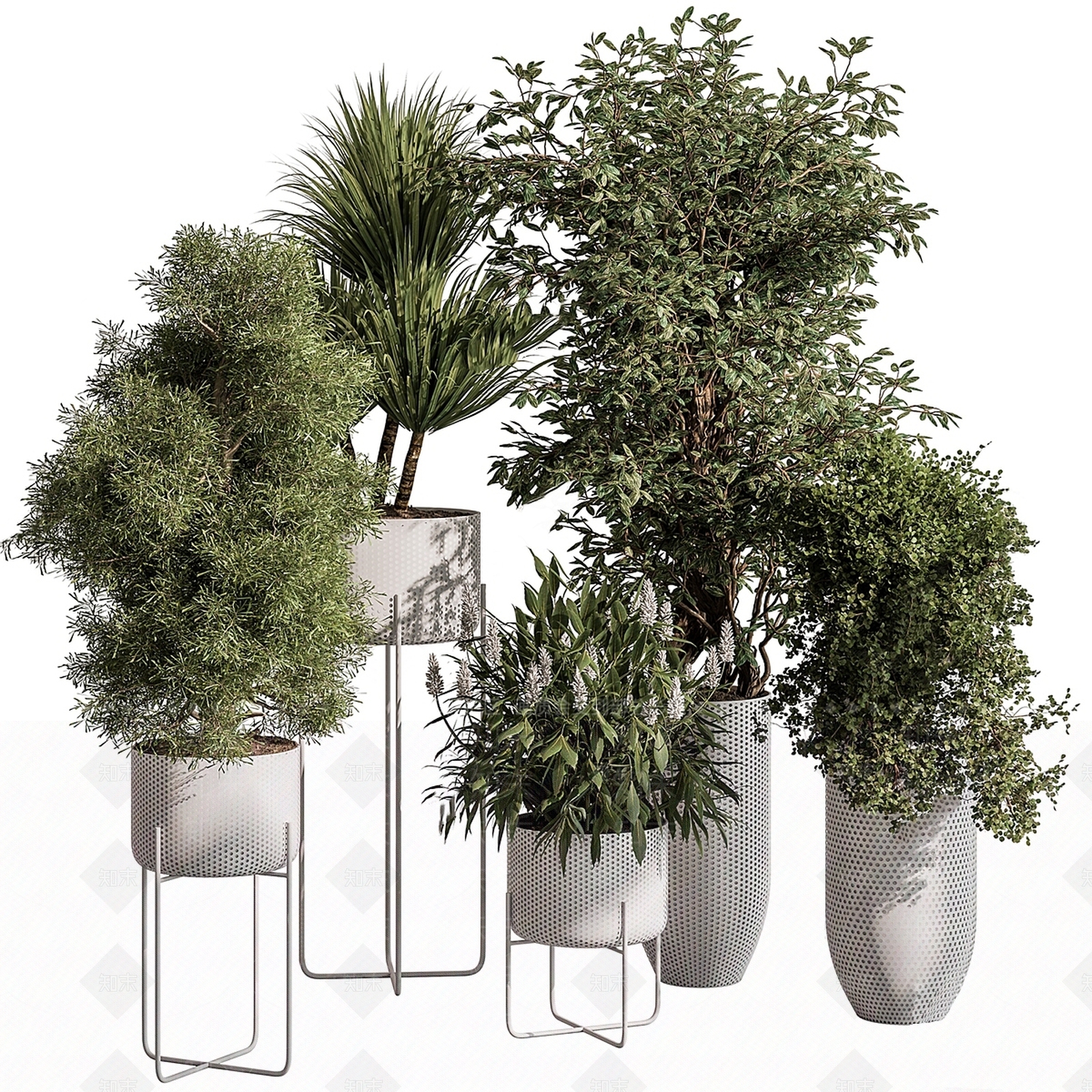 绿植盆栽3D模型下载【ID:1126918759】