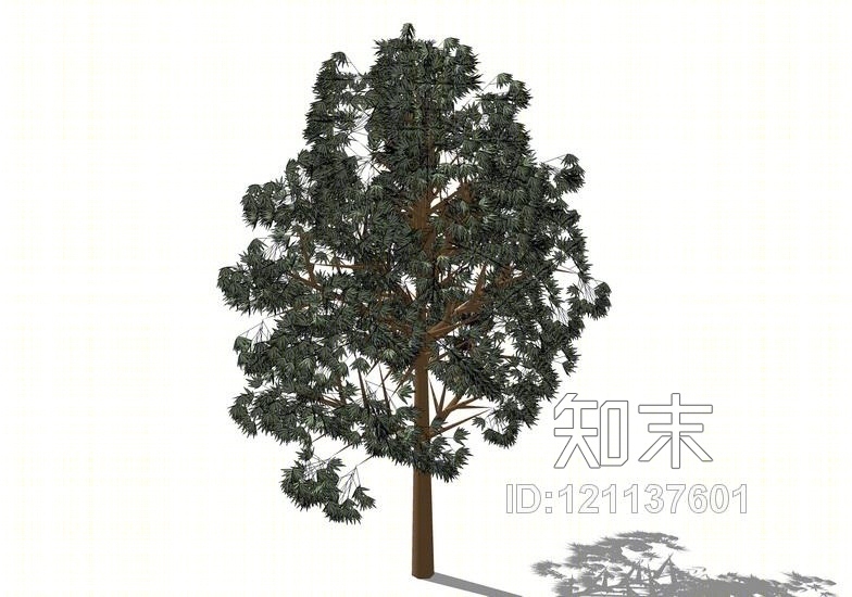 3D植物树SU模型下载【ID:121137601】