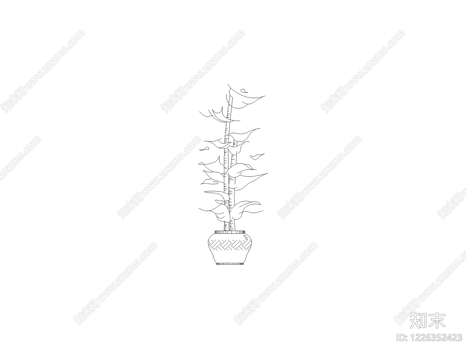 现代绿植CAD图纸