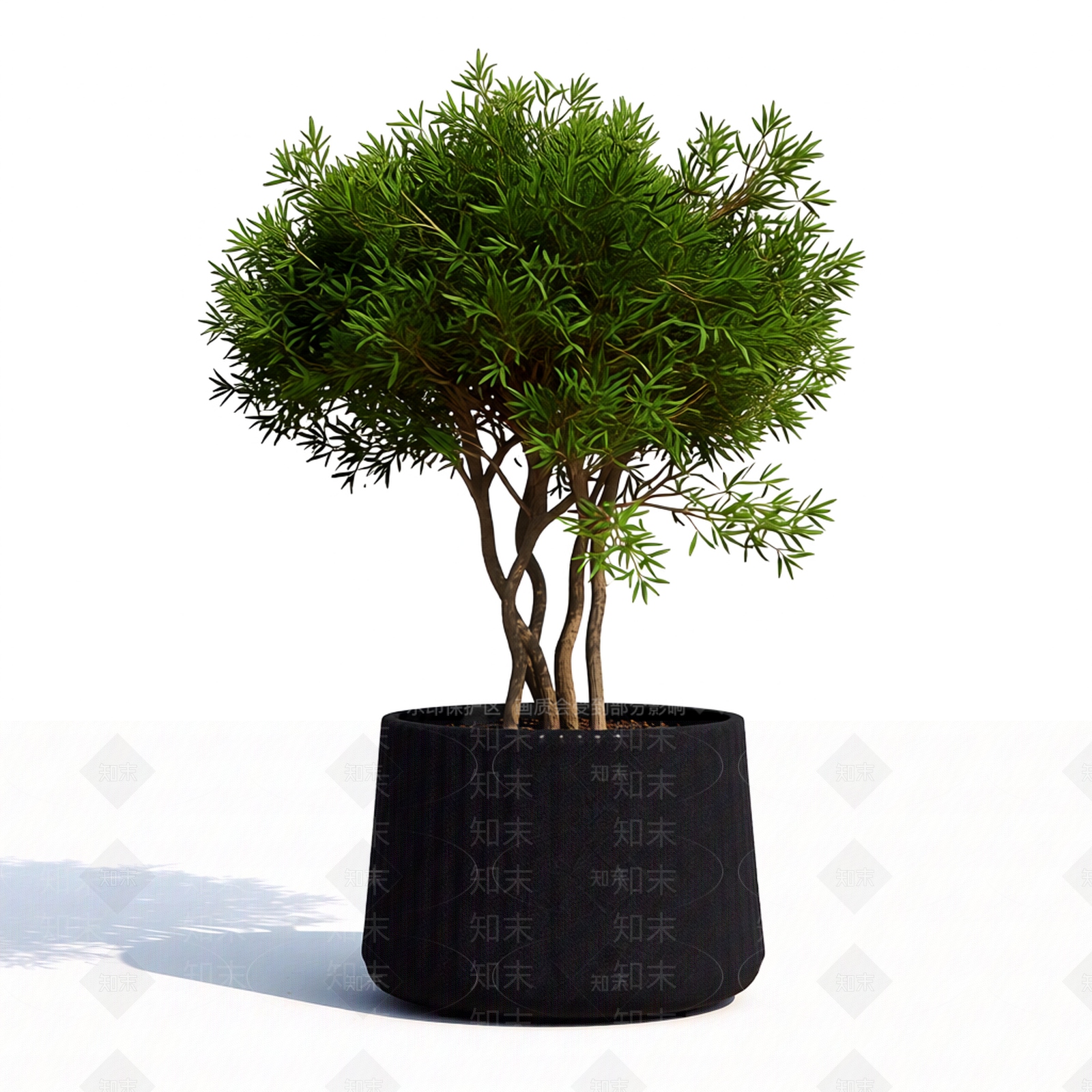带盆完整盆栽3D模型下载【ID:1206189791】