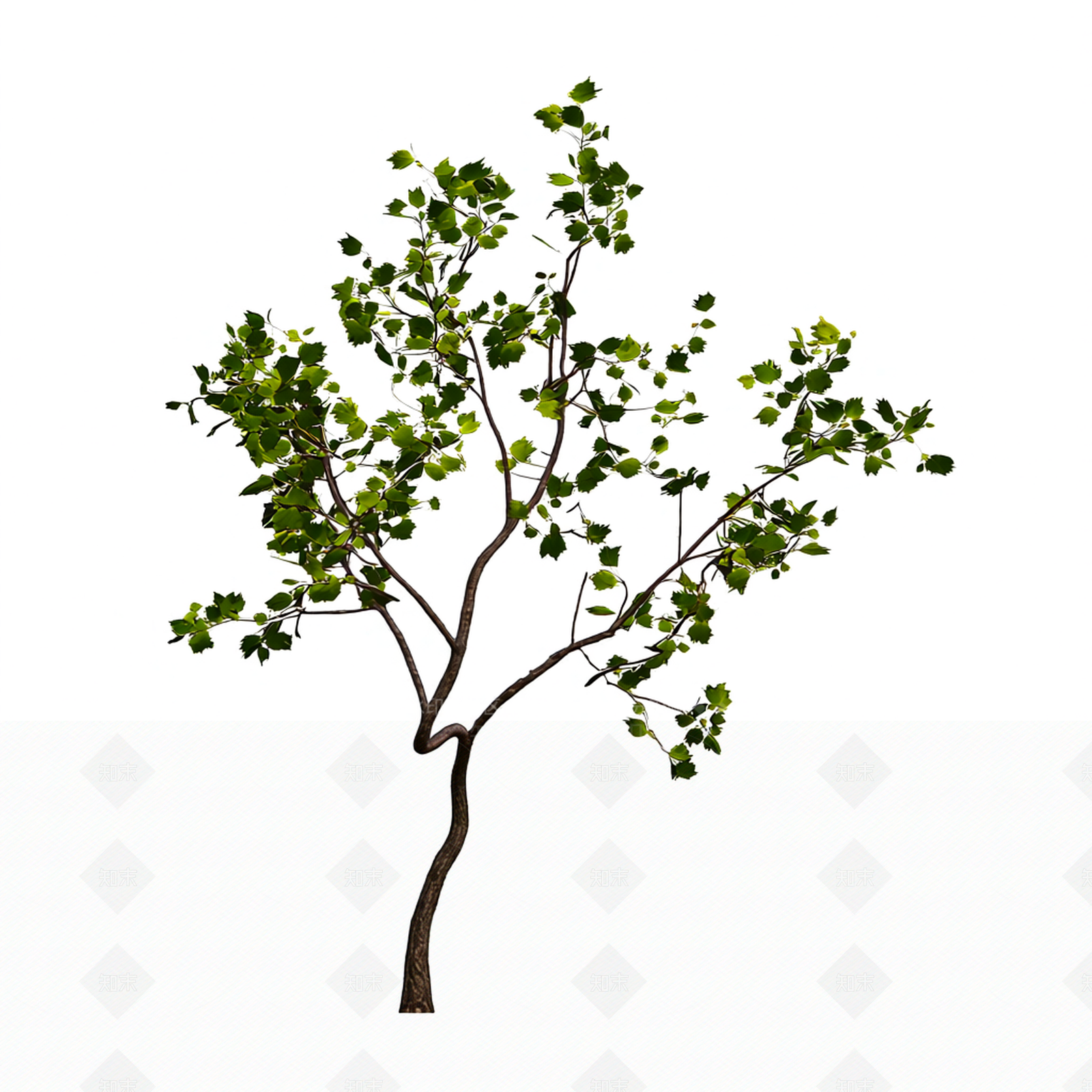 小型绿色植物模型3D模型下载【ID:1206183679】