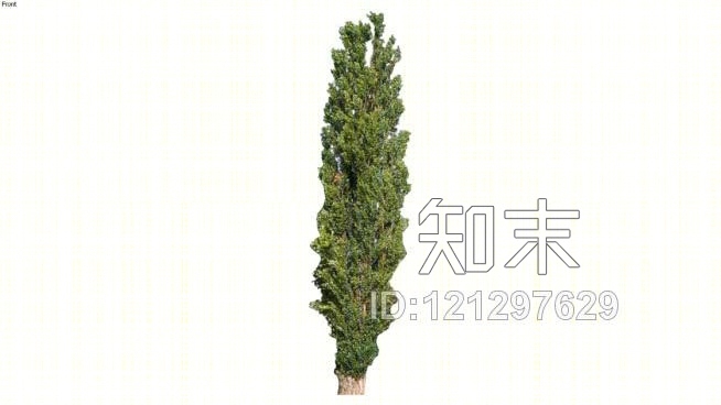 意大利黑杨SU模型下载【ID:121297629】