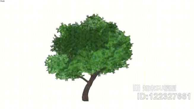 芒果树SU模型下载【ID:122327661】