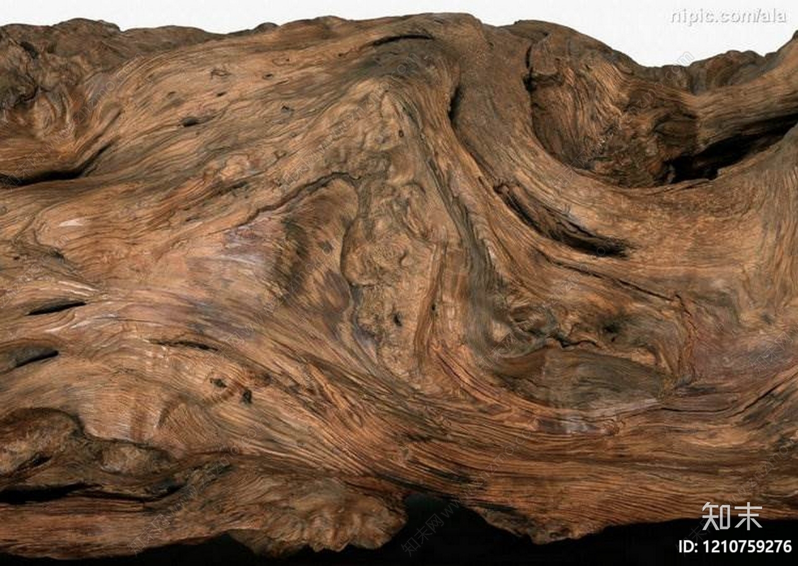 树瘤贴图下载【ID:1210759276】