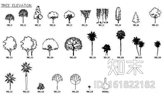 立面树施工图下载【ID:161822182】
