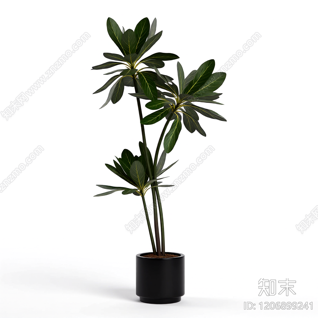 盆栽植物组合3D模型下载【ID:1206899241】