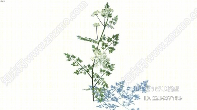 草，高聚合，VRY准备（082）SU模型下载【ID:225957185】