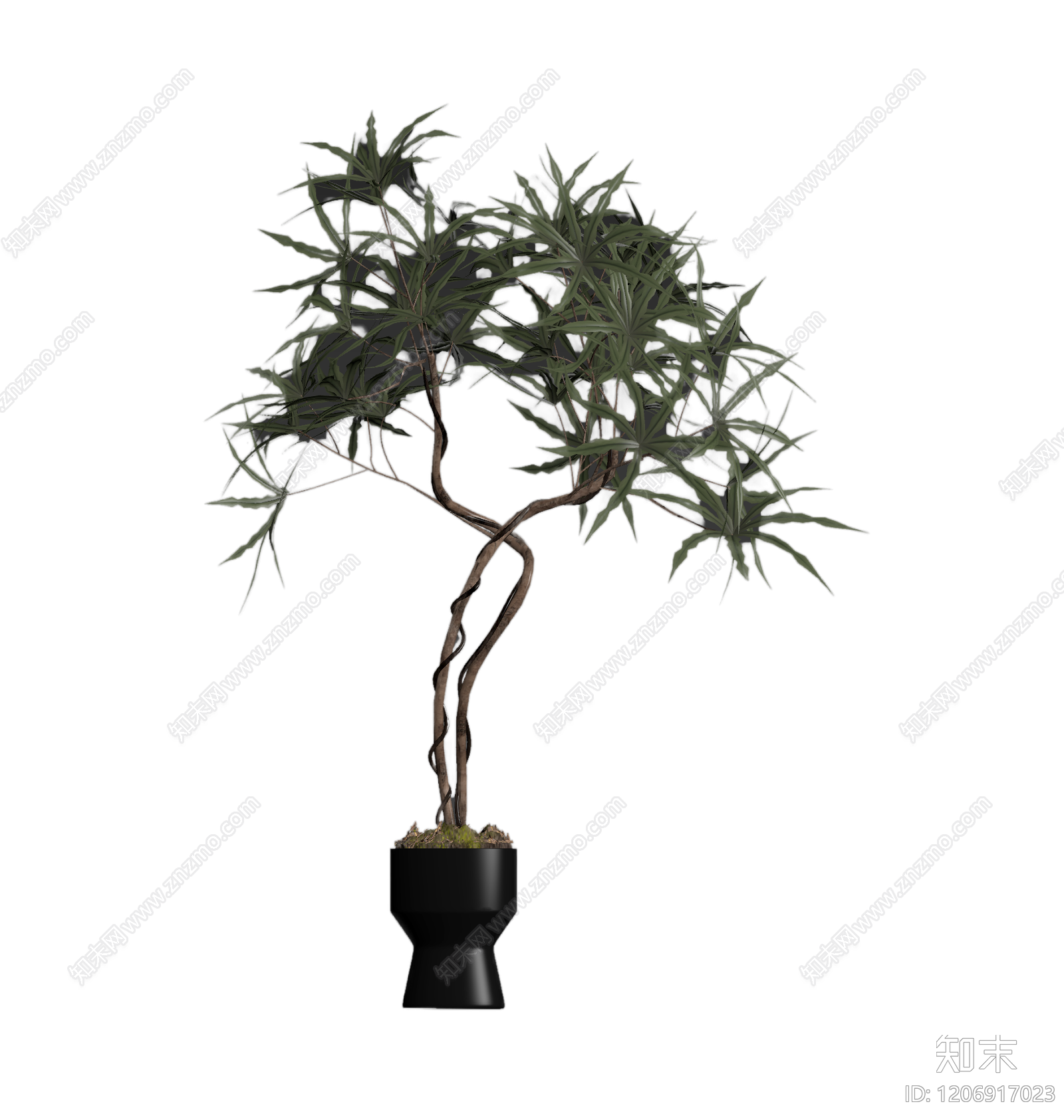 盆栽植物带花盆3D模型下载【ID:1206917023】