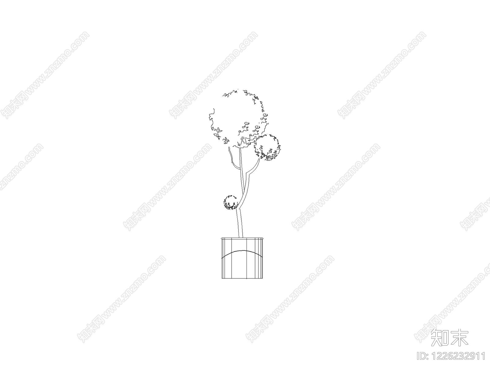现代乔木种植CAD图纸